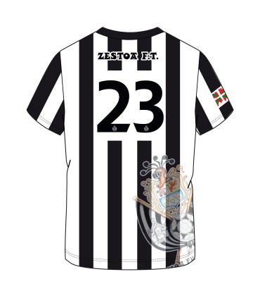 Camiseta oficial