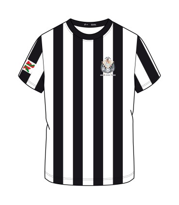 Camiseta oficial