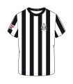 Camiseta oficial
