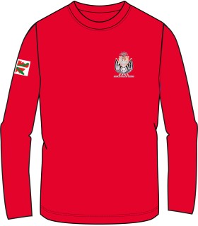 Atezainaren kamiseta gorria / Camiseta roja portero